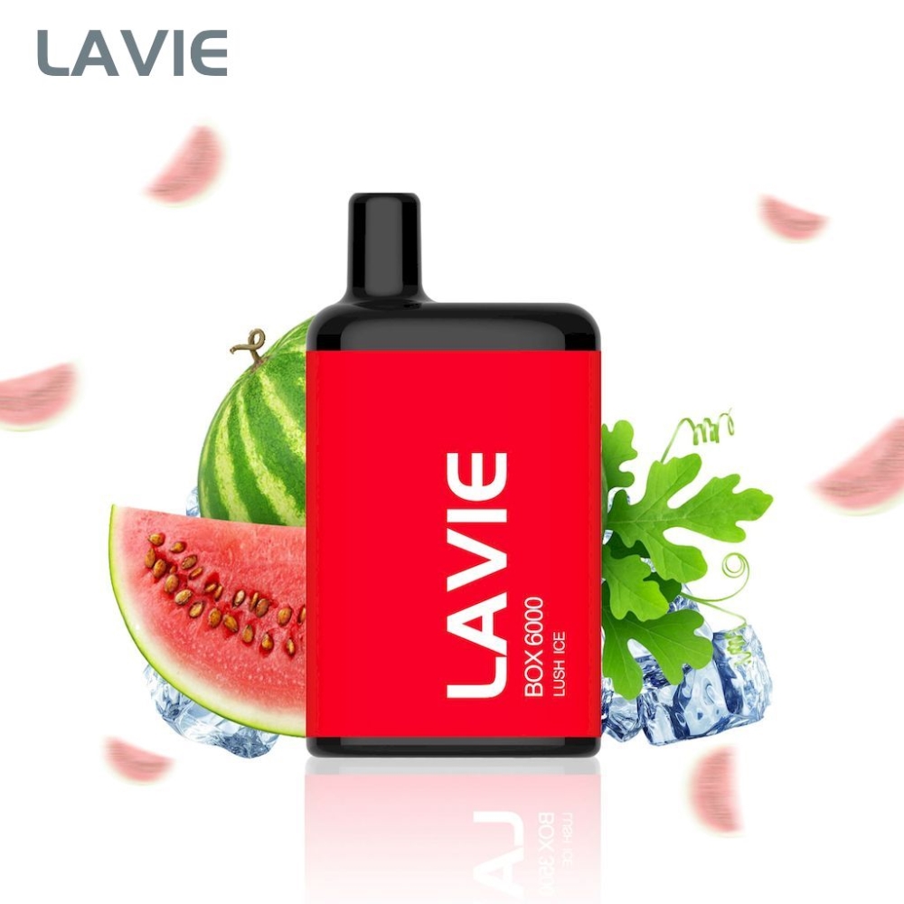 LAVIE Box 6000 – Täiuslik Tasakaal Mugavuse, Maitse ja Usaldusväärsuse Vahel