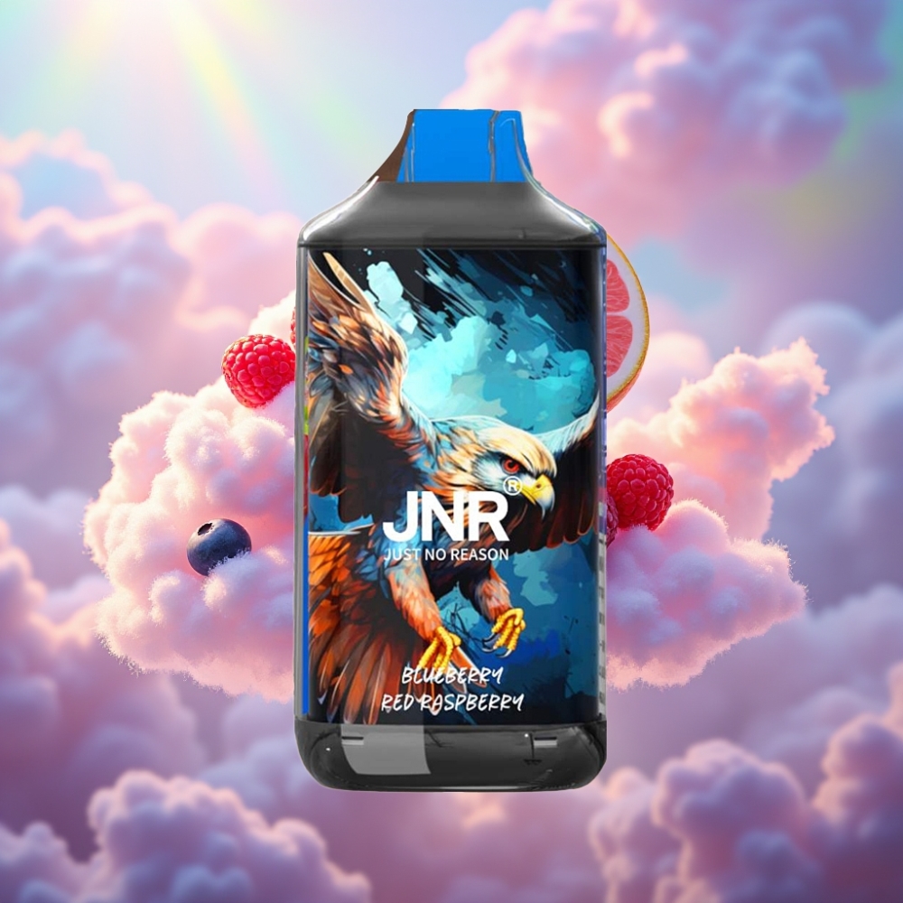 JNR Falcon 16000: Su Usaldusv&auml;&auml;rne Kaaslane Pikale Suitsetamisteekonnale